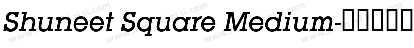Shuneet Square Medium字体转换